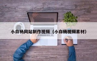 荆州小白杨网站制作视频（小白杨视频素材）