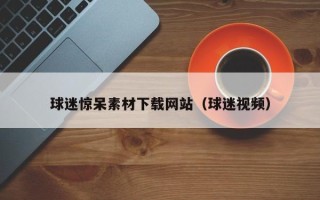 荆州球迷惊呆素材下载网站（球迷视频）